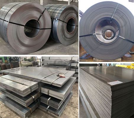 Largura según su solicitud 5mm 6mm 8mm 1219mm 1250mm 1500mm Superficie opaca Finish grado A36 bobina de acero laminado en caliente